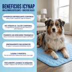 IcyNap™ — Tu perro fresco al instante, sin gel, sin electricidad.