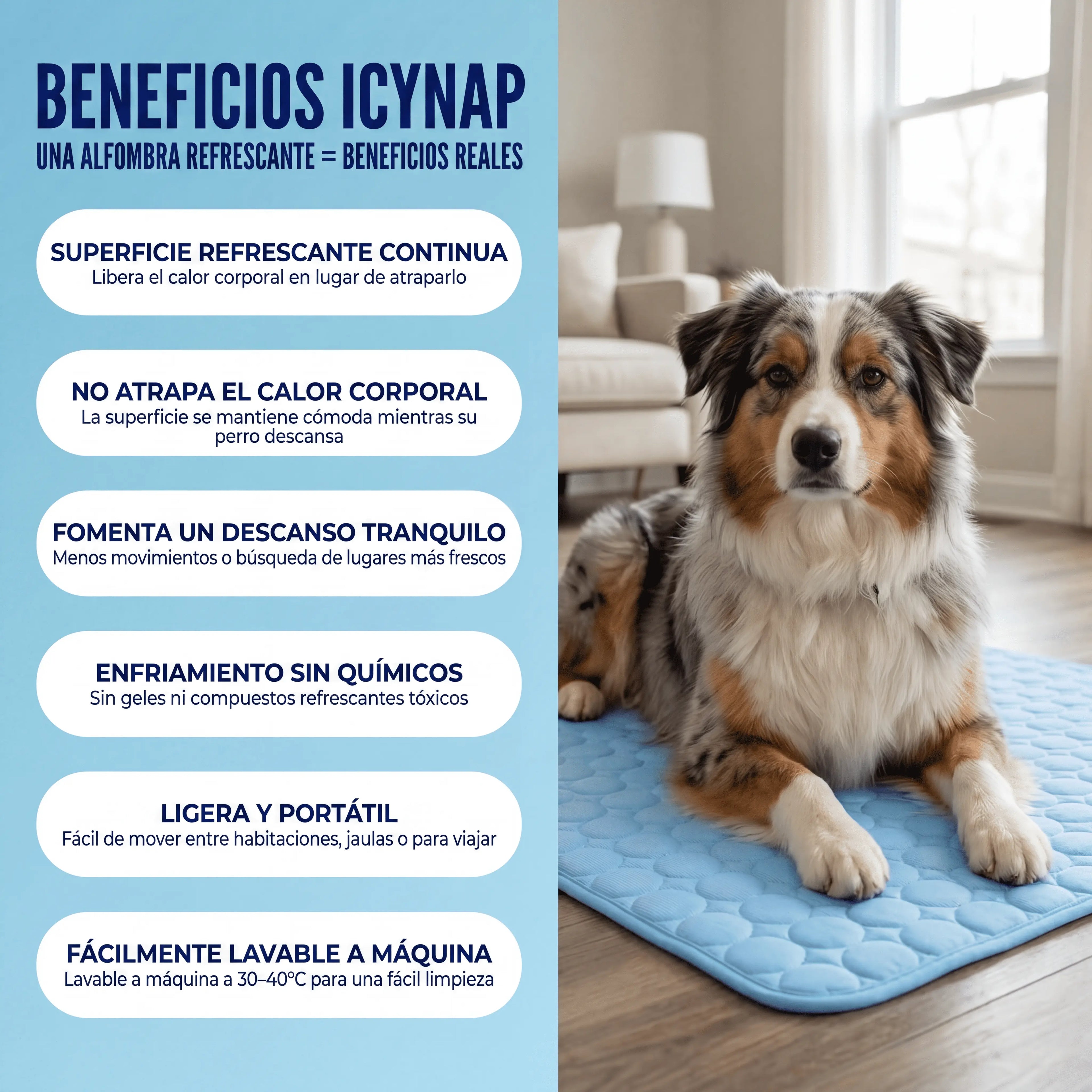 IcyNap™ — Tu perro fresco al instante, sin gel, sin electricidad.