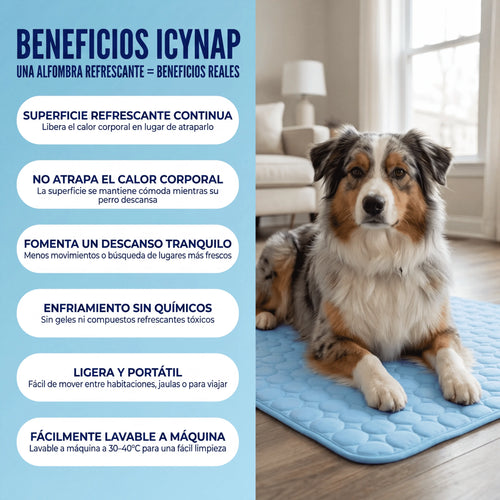 IcyNap™ — Tu perro fresco al instante, sin gel, sin electricidad.