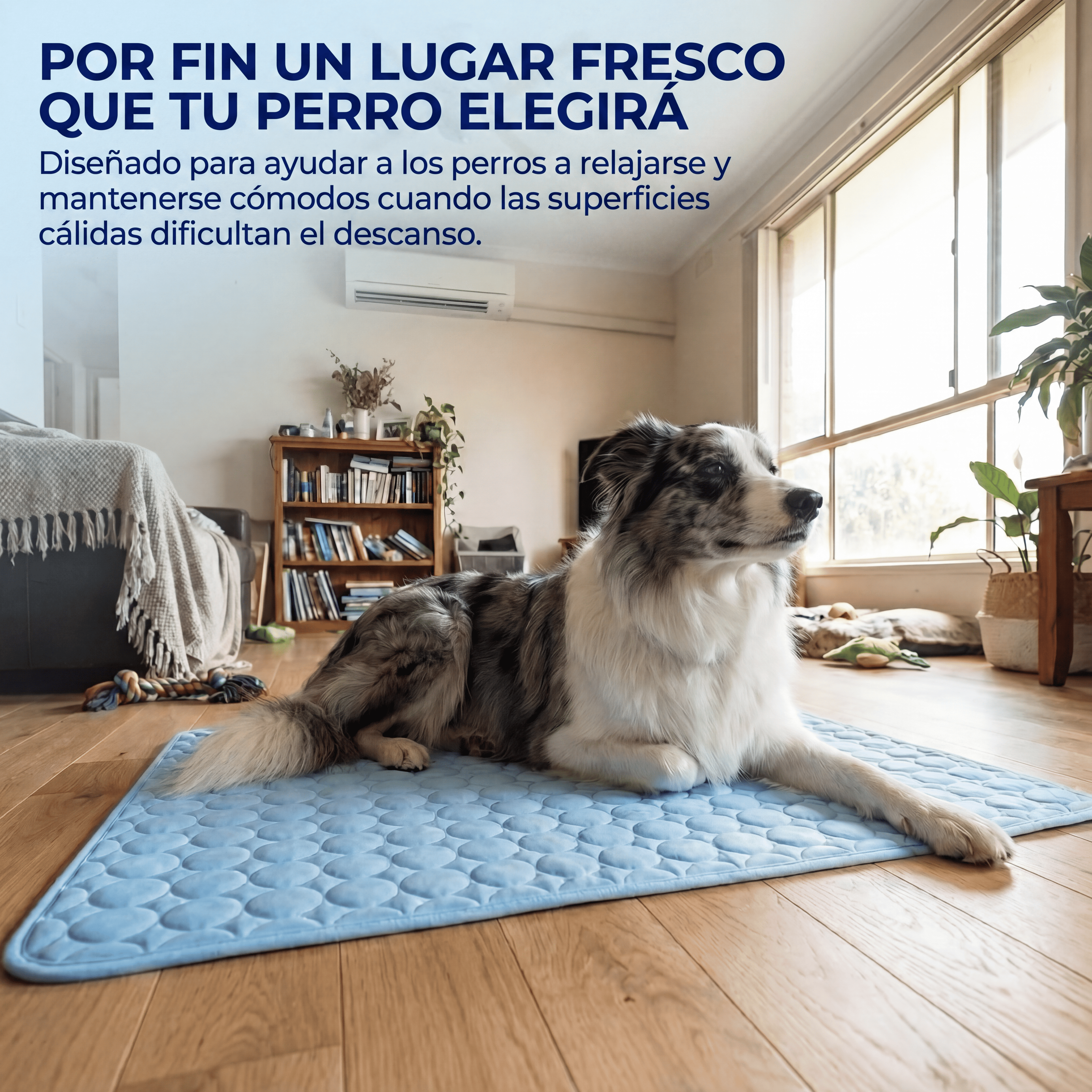 IcyNap™ — Tu perro fresco al instante, sin gel, sin electricidad.