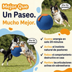 Pelota de Pastoreo Peluki