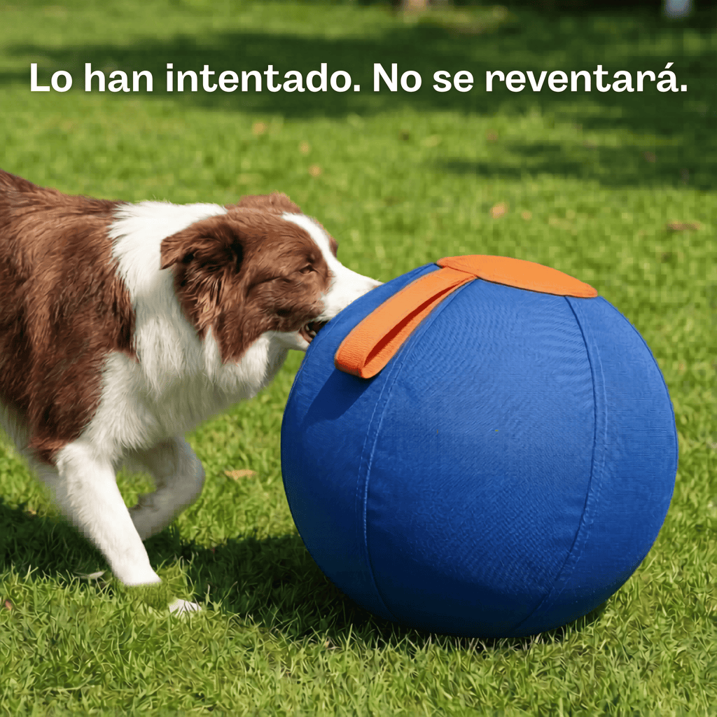 Pelota de Pastoreo Peluki