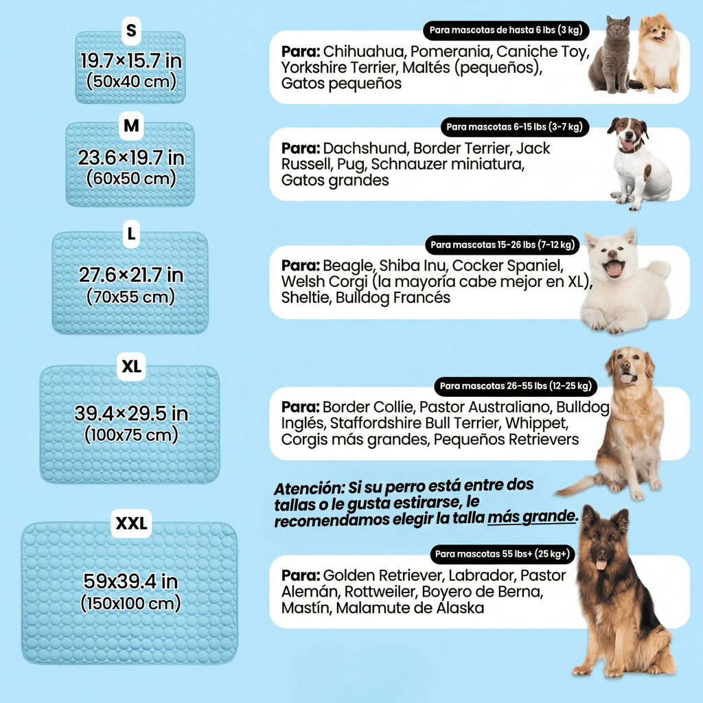 IcyNap™ — Tu perro fresco al instante, sin gel, sin electricidad.