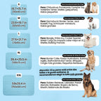 IcyNap™ — Tu perro fresco al instante, sin gel, sin electricidad.