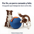 Pelota de Pastoreo Peluki
