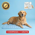 IcyNap™ — Tu perro fresco al instante, sin gel, sin electricidad.